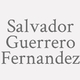 Logo Salvador Guerrero Fernandez_304087