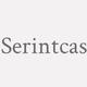 Logo Serintcas_389140