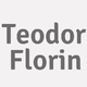 Logo Teodor Florin_385496