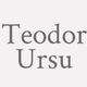 Logo Teodor Ursu_244769