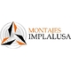 LOGOTIPO IMPLALUSA new_297459