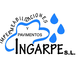 nuevo LOGO INGARPE00_519395