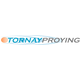 PROYINGlogo nuevo_559129