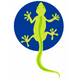 salamandra circulo (2)_448139