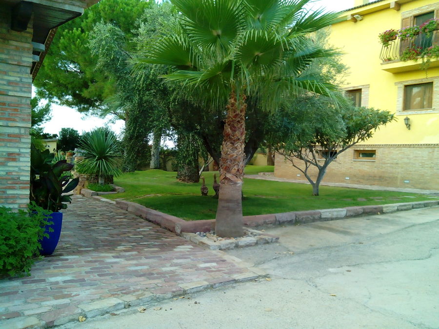 JARDIN, CAMINOS Y LINDES