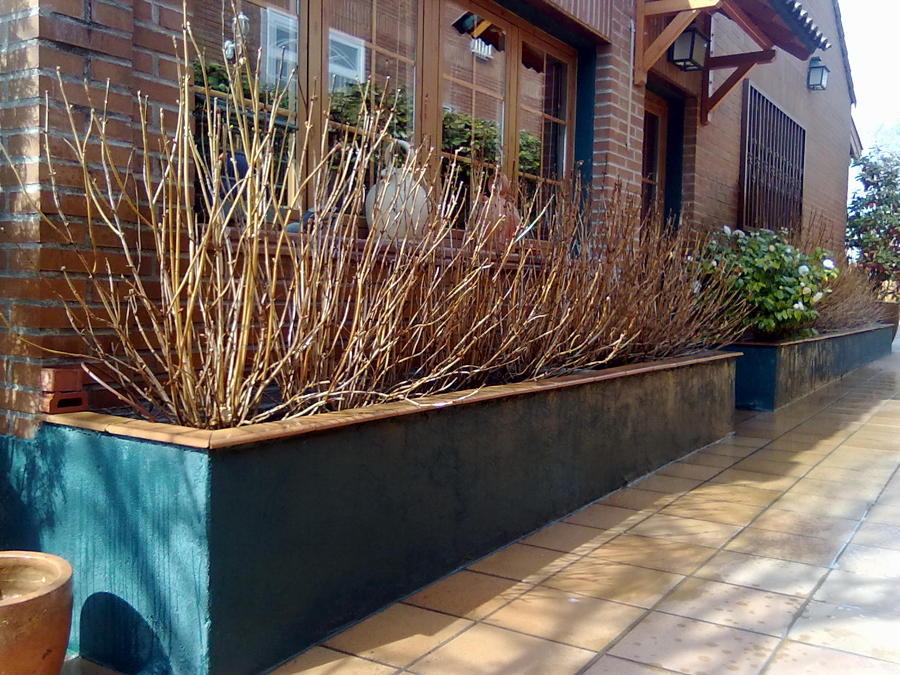 Jardineras de Hortensias.