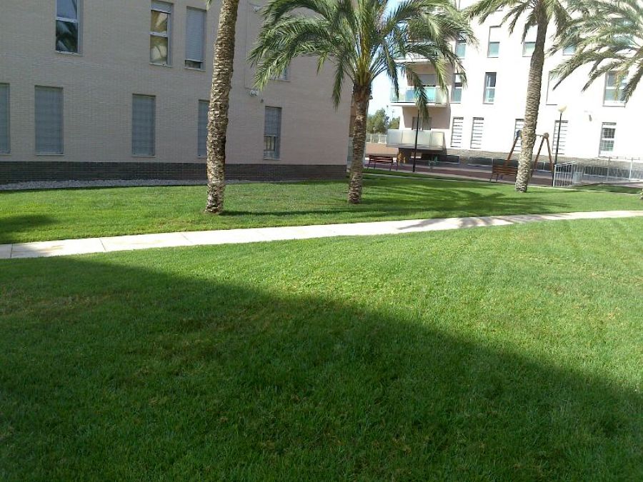 Mantenimiento jardín