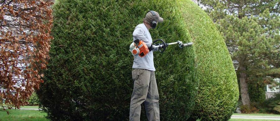 Fresh Garden Jardinería en Torrelodones