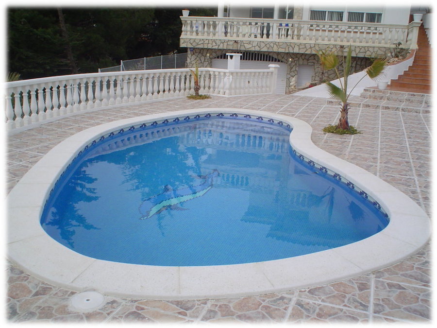 Piscina de riñon 