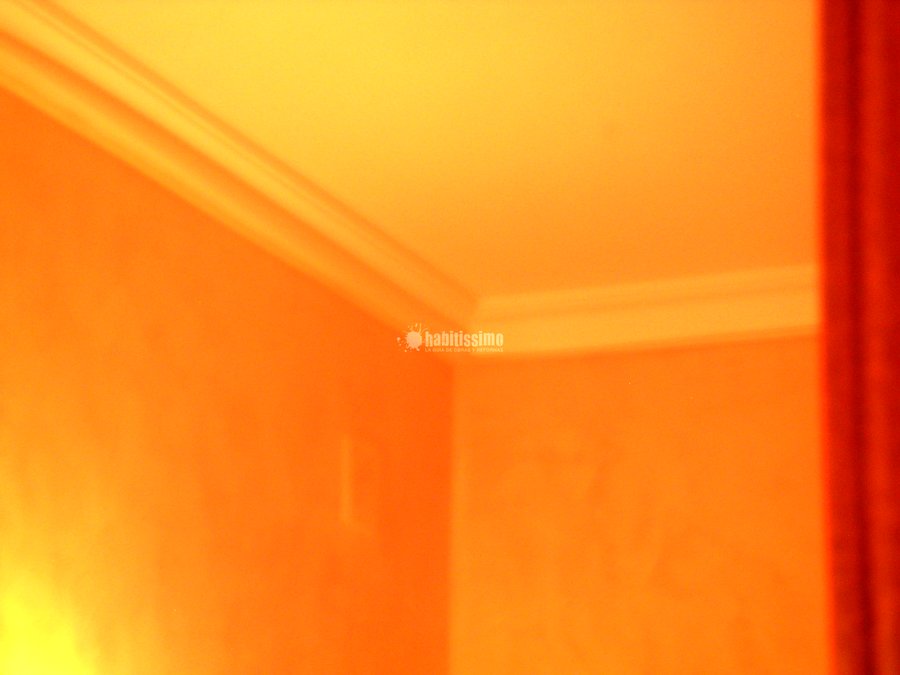 Pintores, Estuco Cal, Artículos Decoración
