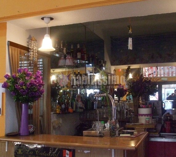 Ingenieros, Licencias Actividad, Licencias Apertura