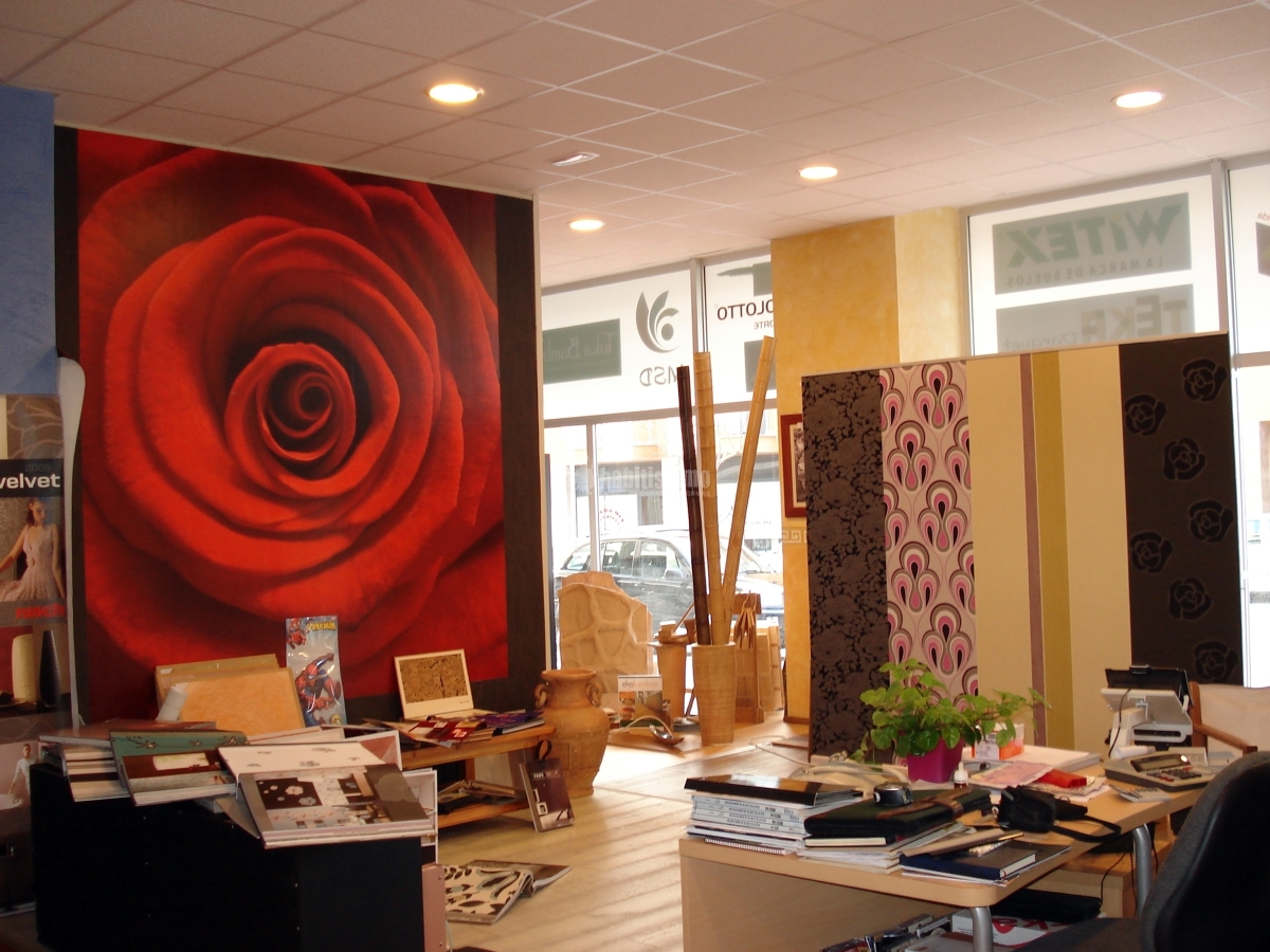 Carpintería, Artículos Decoración, Pintores