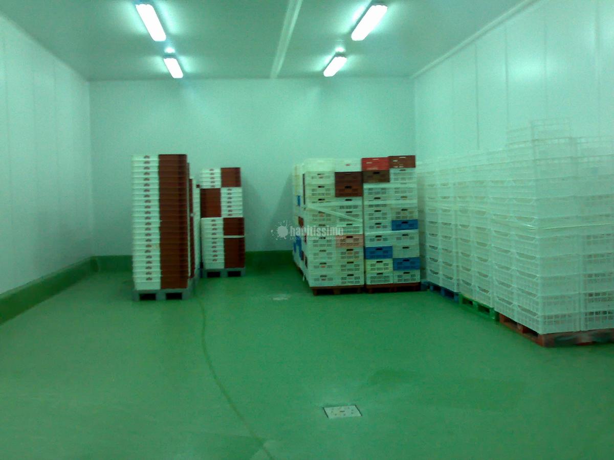 Reformas Naves Industriales, Morteros, Pavimentos