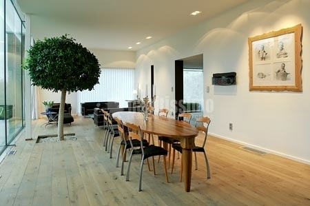 Parquetistas, Lijados Barnizados, Tarimas Flotantes