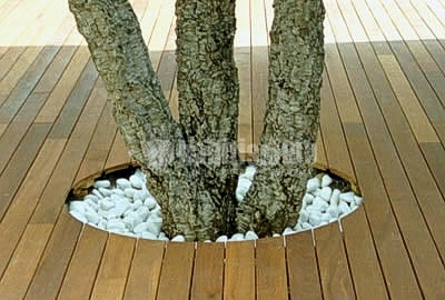 Parquetistas, Lijados Barnizados, Tarimas Flotantes