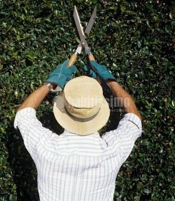 Reformas Viviendas, Construcciones Reformas, Alicatados