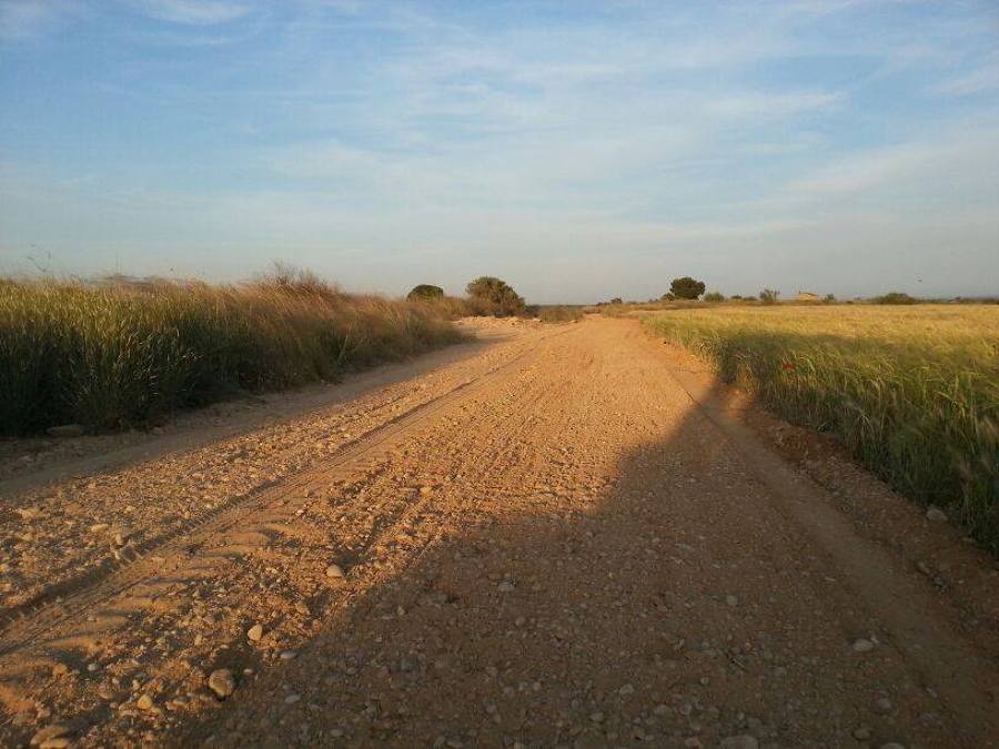 Realización de caminos