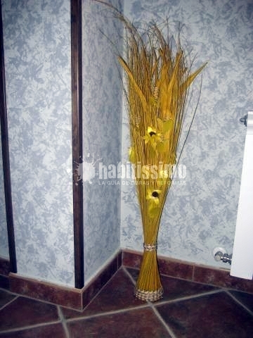 Administradores Fincas, Alquileres