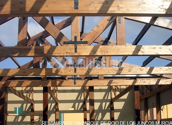 Construcción Casas, Técnicos, Reforma