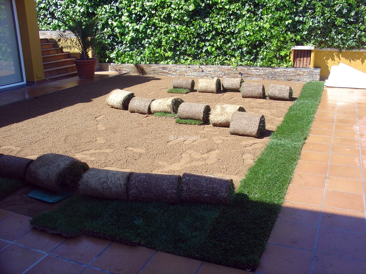 Jardineros, Tala Árboles, Mantenimiento Jardines