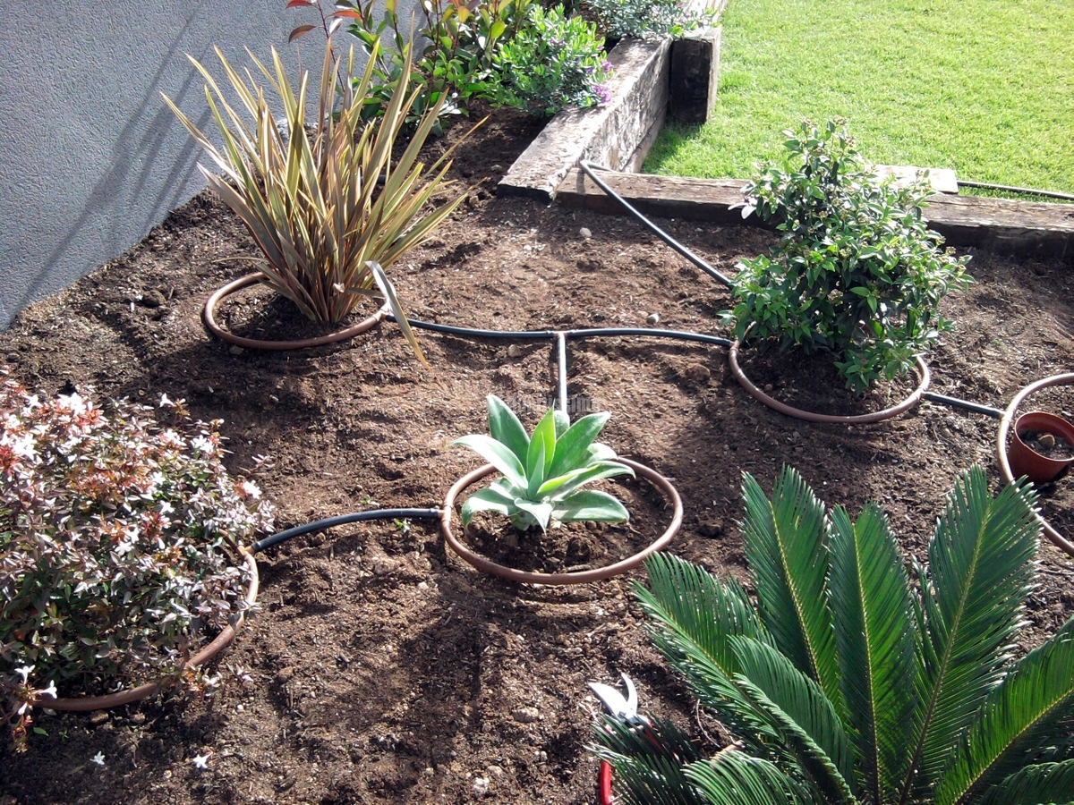 Jardineros, Mantenimiento Jardines, Tala Árboles