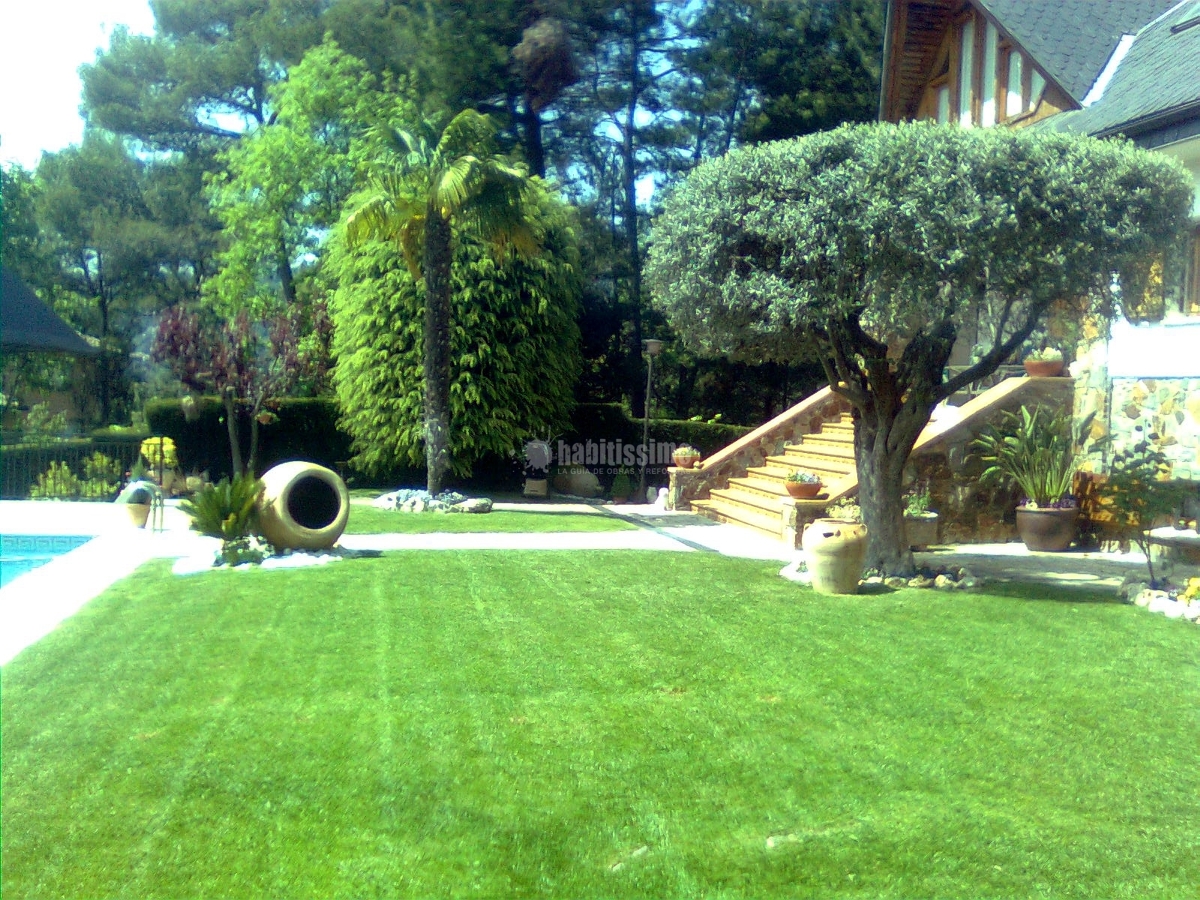 Jardineros, Tala Árboles, Mantenimiento Jardines