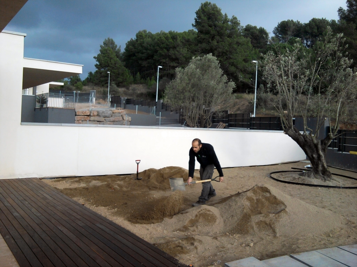 Jardineros, Tala Árboles, Mantenimiento Jardines