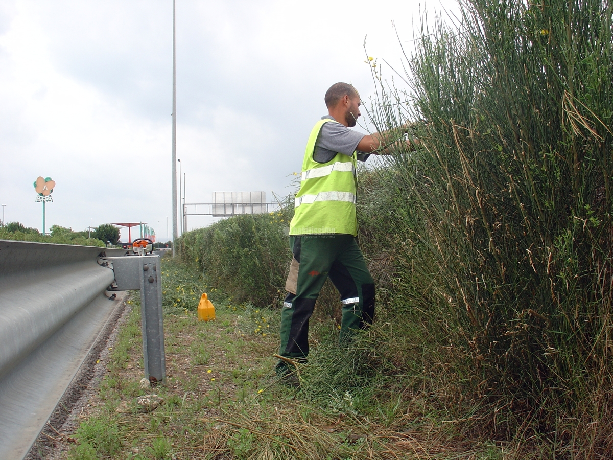 Jardineros, Tala Árboles, Mantenimiento Jardines