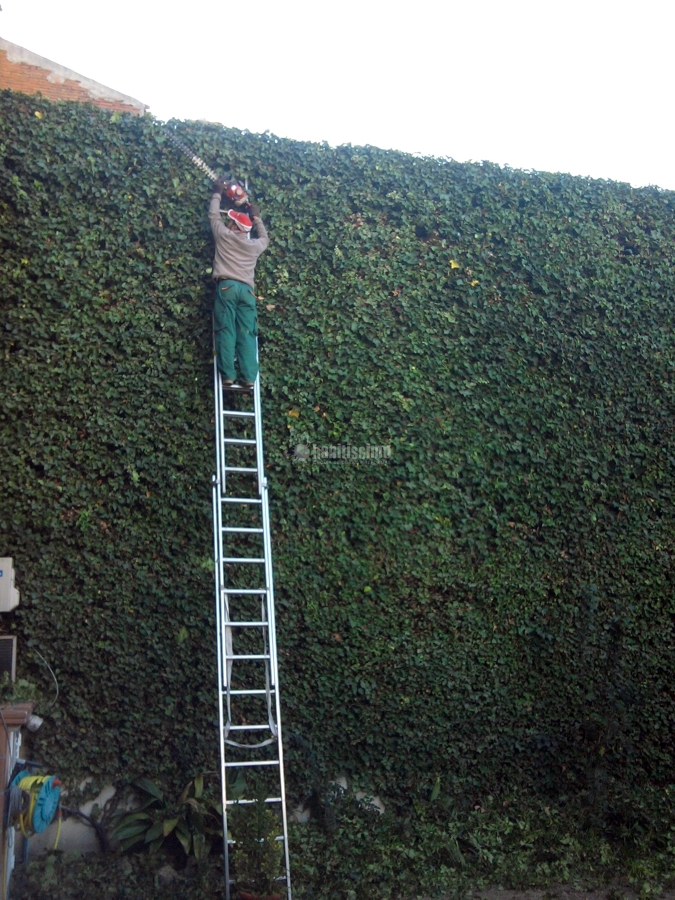 Jardineros, Tala Árboles, Mantenimiento Jardines