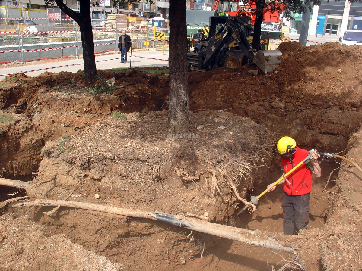 Jardineros, Mantenimiento Jardines, Tala Árboles