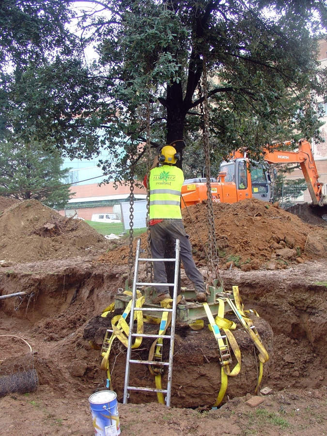 Jardineros, Tala Árboles, Mantenimiento Jardines