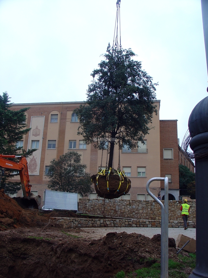 Jardineros, Mantenimiento Jardines, Tala Árboles