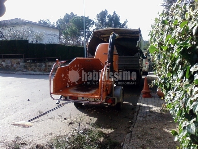 Jardineros, Mantenimiento Jardines, Tala Árboles