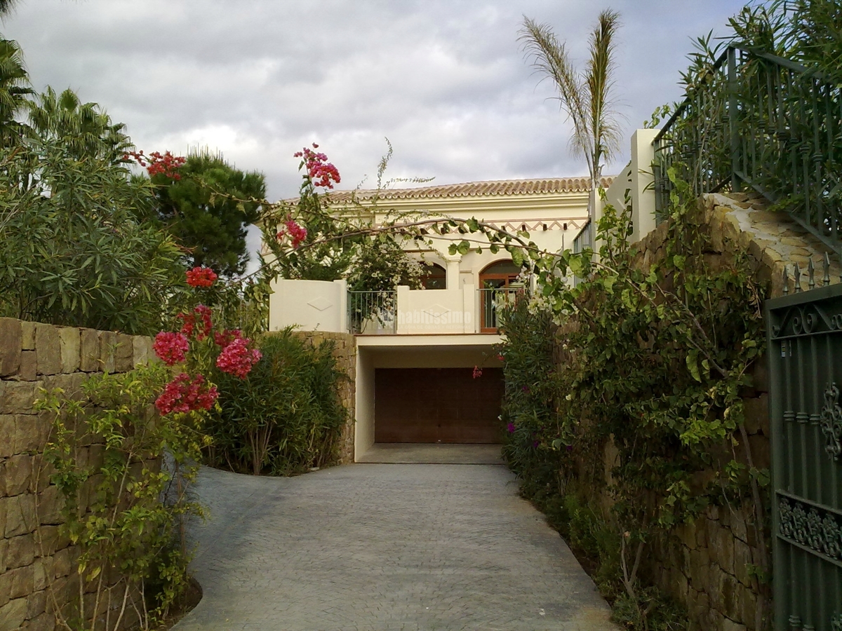 Pintores, Trapeados, Murales