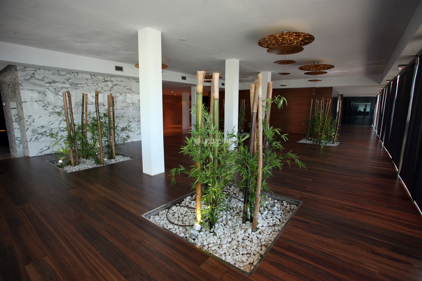 Revestimientos Interiores en MADERA NATURAL