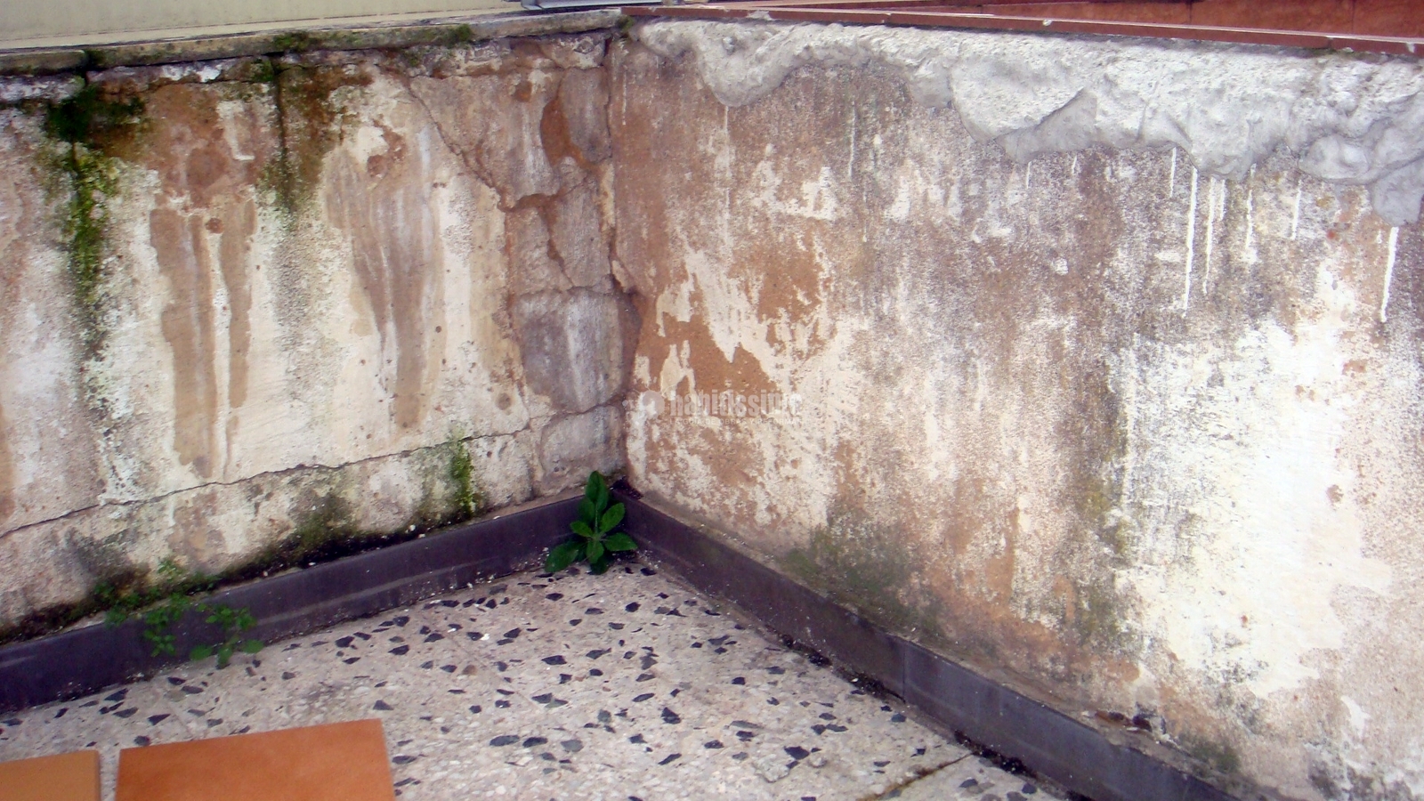 Restauración Edificios, Alicatados, Reformas General