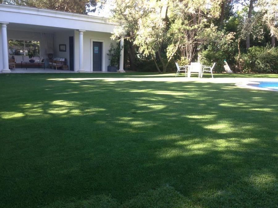 Instalación de césped