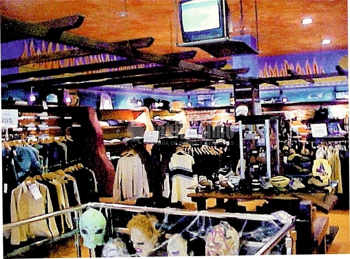 Pintores, Esmaltados, Barnizados Lacados