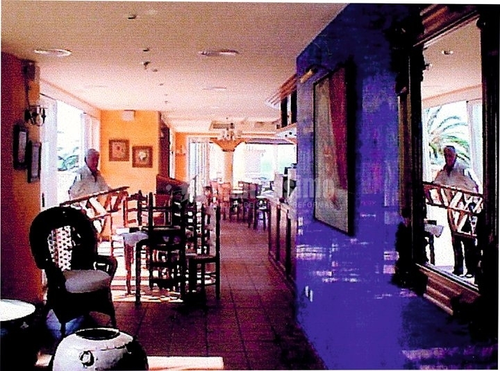 Pintores, Papel Pintado, Esmaltados