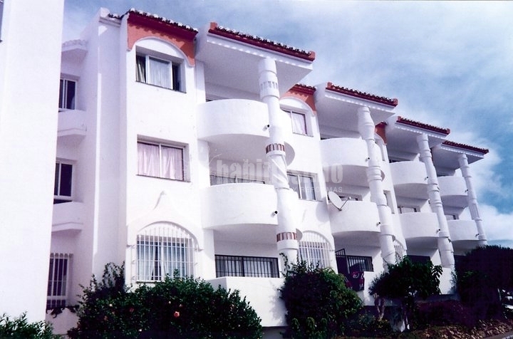 Pintores, Tarima Flotante, Pintura Decorativa