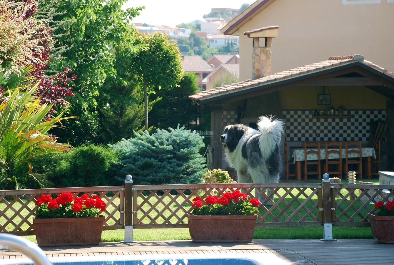 Mantenimiento de jardines