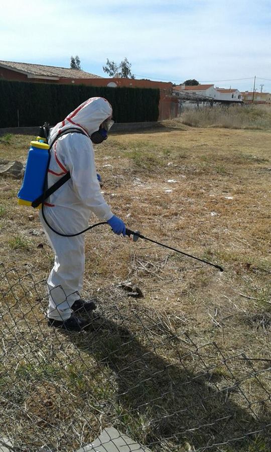 Aplicación de herbicida.