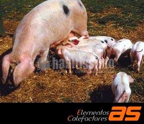 Calefacción, Suelo Radiante Eléctrico