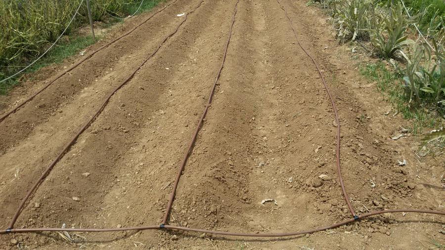 Instalación riego por goteo