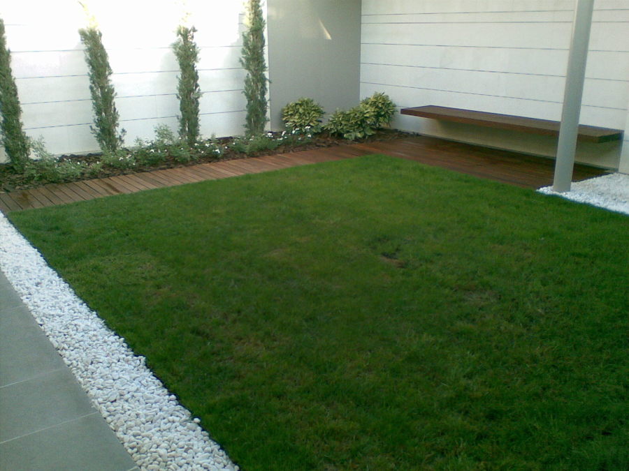 SUELO TROPICAL Y BANCO VOLADO