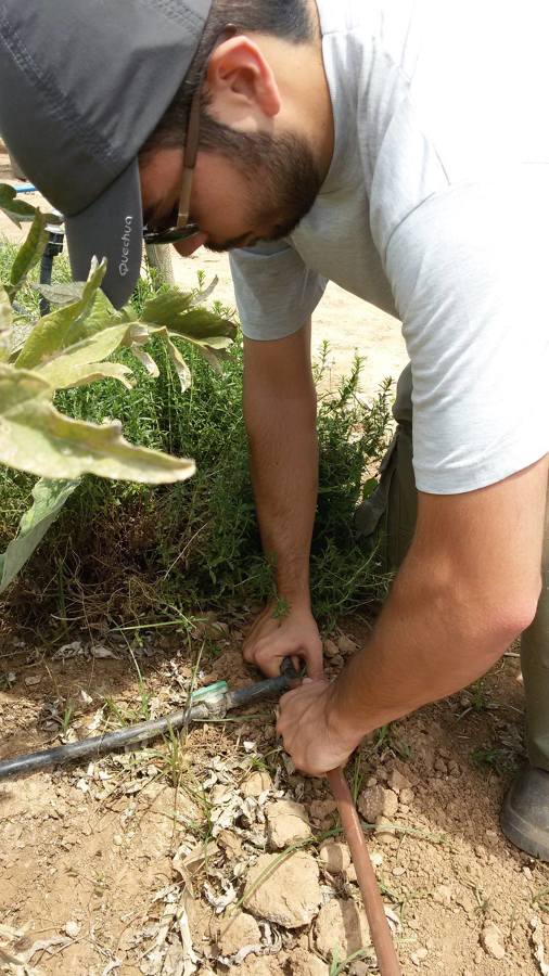 Instalación riego por goteo