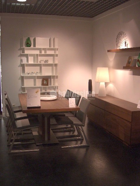 Interioristas, Técnicos, Reforma