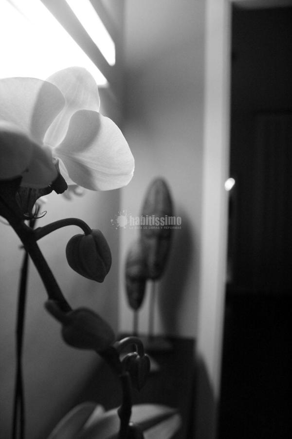 Arquitectos, Reforma, Peritos