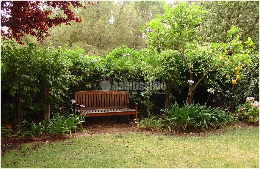 Arquitectos, Proyectos Decoración, Proyectos Arquitectura