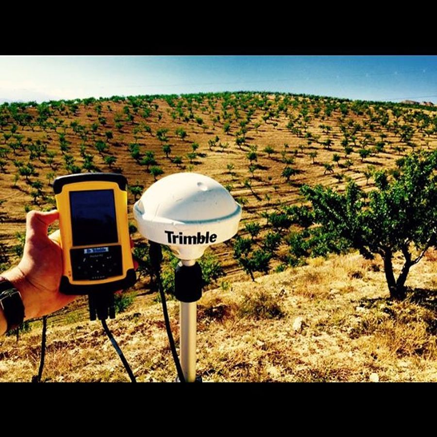 DISEÑO DE PLANTACIONES Y REPLANTEO